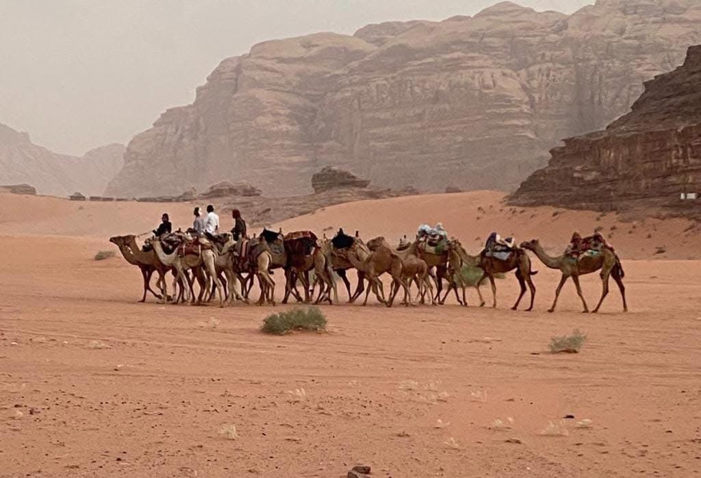 Wadi Rum Trail Eksteriør bilde