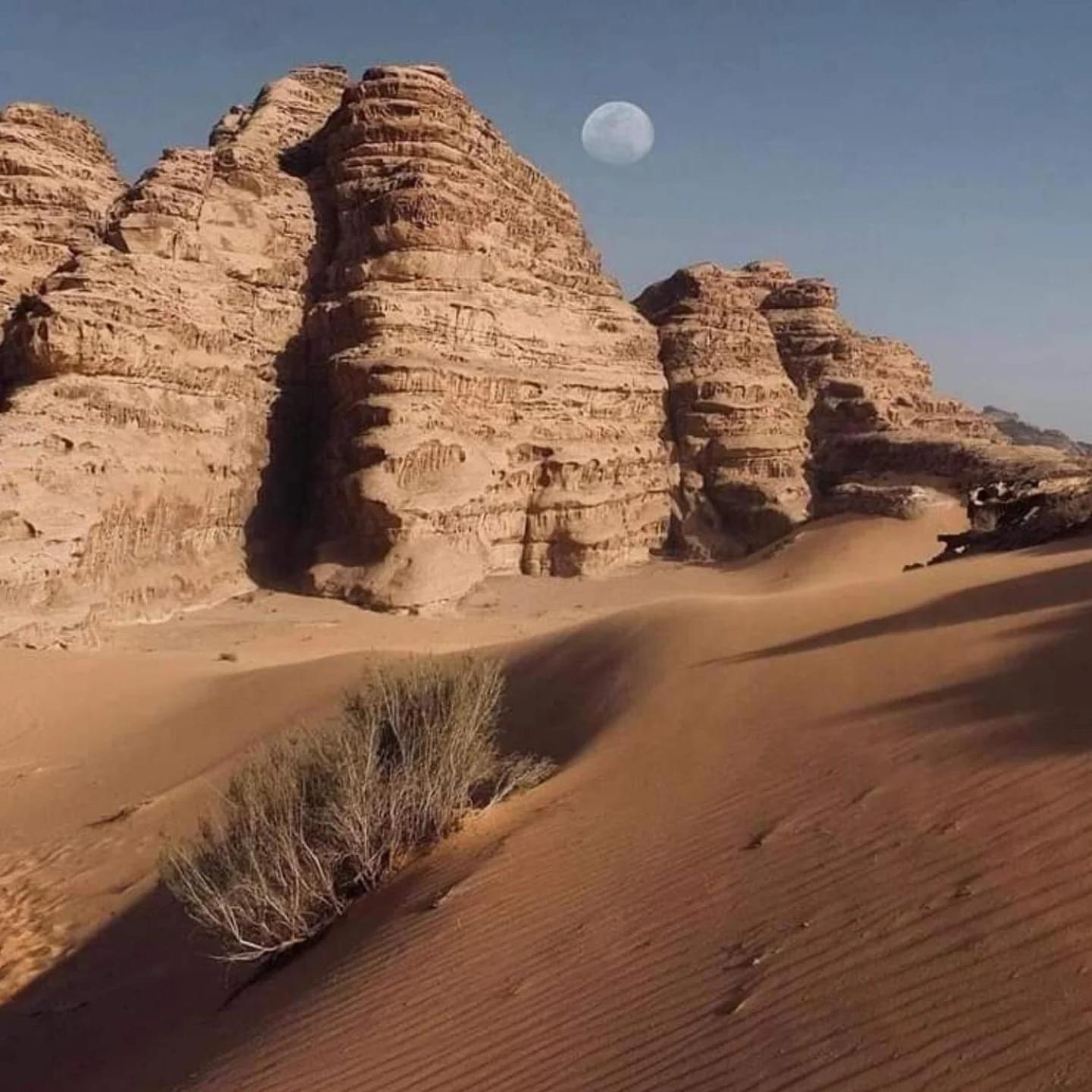 Wadi Rum Trail Eksteriør bilde